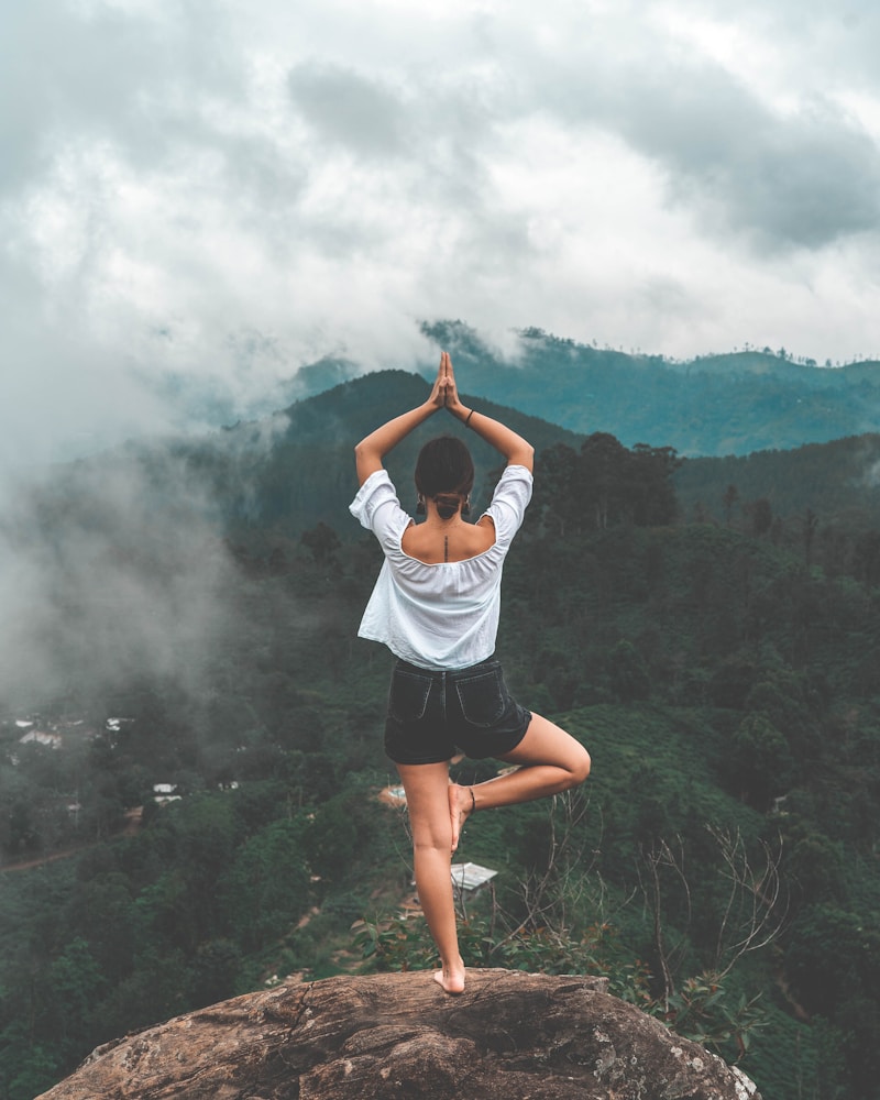 Calm environment supporting mental wellness practices